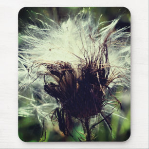 Thistle Fluff Flower Nature Mouse Mat