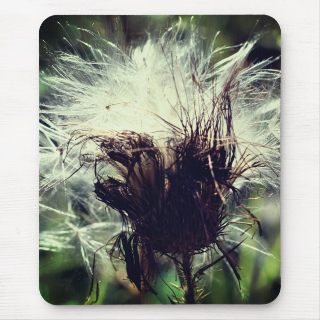 Thistle Fluff Flower Nature  Mouse Mat (Front)