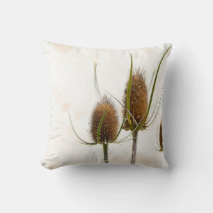 thistle head on abstract cushion