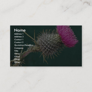 Thistle head pink flower business card