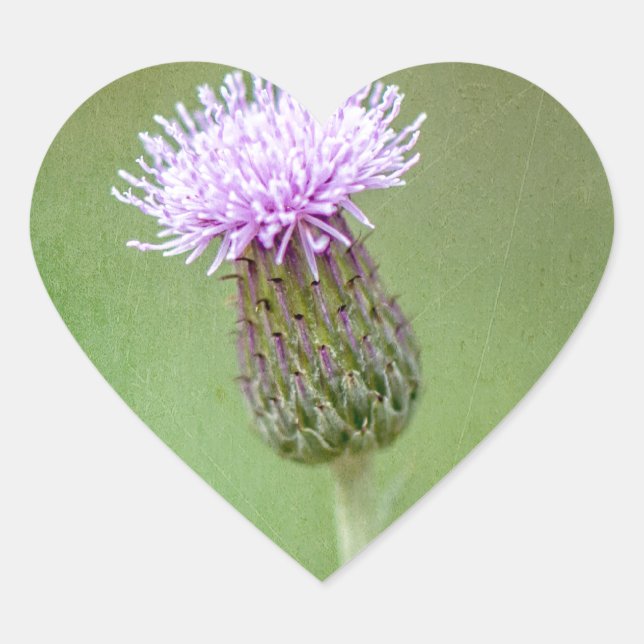 Thistle Heart Sticker (Front)