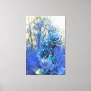 Thistle in Purple Canvas Print
