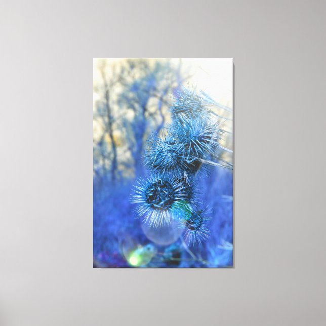 Thistle in Purple Canvas Print (Front)
