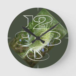 Thistle in the summer sun round clock