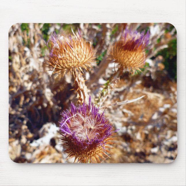 Thistle Mouse Mat (Front)