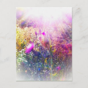 THISTLE POSTCARD