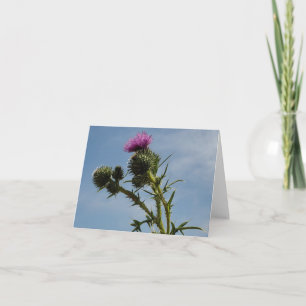 Thistle Thank You Card