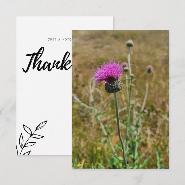 Thistle Thank You Note Card (Front/Back)