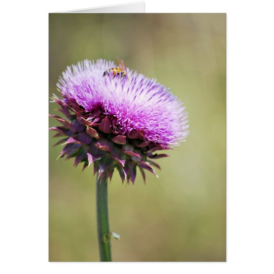 "Thistle with Bee" collection Card