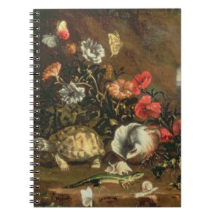 Thistles, flowers, reptiles and butterflies beside notebook