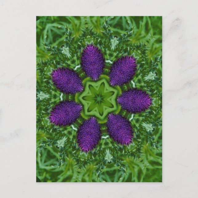 Thistles Postcard (Front)