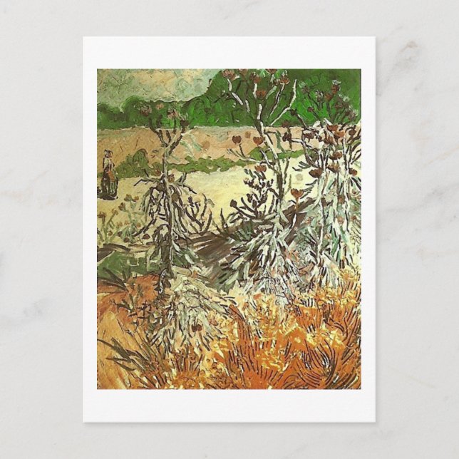 Thistles, Van Gogh Fine Art Postcard (Front)
