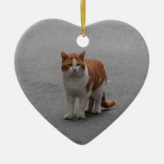 Thomas Ginger And White Cat Ceramic Tree Decoration