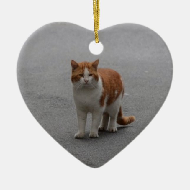 Thomas Ginger And White Cat Ceramic Tree Decoration (Front)