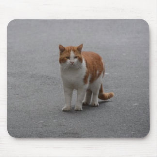 Thomas Ginger And White Cat Mouse Mat