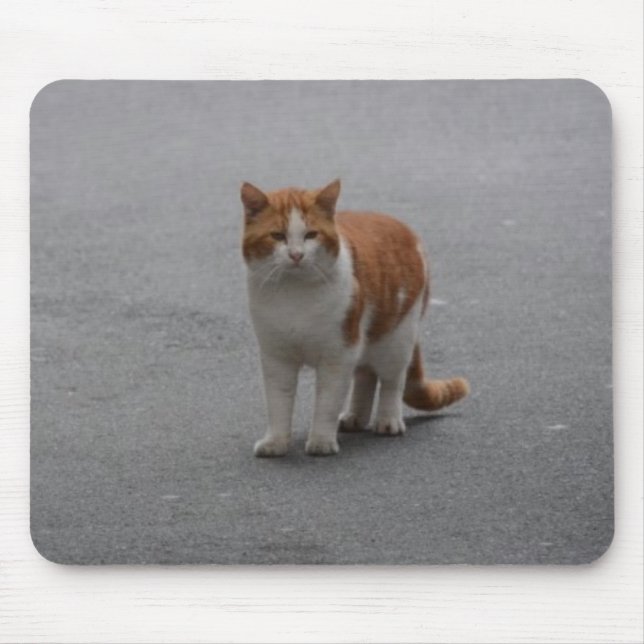 Thomas Ginger And White Cat Mouse Mat (Front)