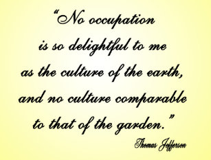 Thomas Jefferson Quotes Gifts Gift Ideas Zazzle Uk