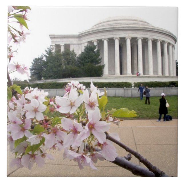 Thomas Jefferson Memorial with cherry blossoms Tile (Front)