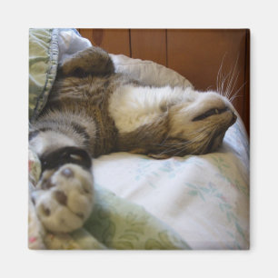 Thomas relaxing magnet
