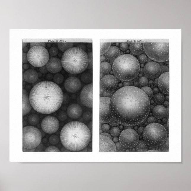 Thomas Wright's Universe Poster (Front)