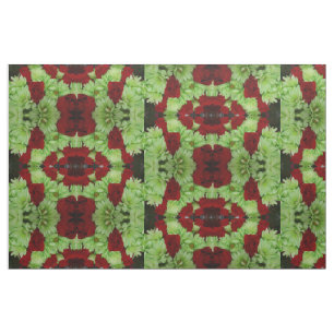 Thomasse Fabric