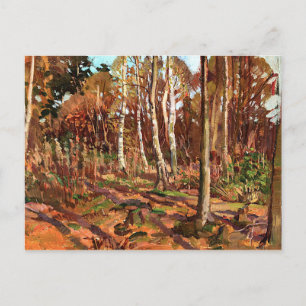 Thomson - View of Algonquin Park Postcard