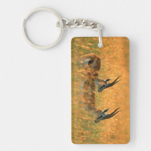 Thomson's Gazelle (Gazella Thomsonii) At Dawn Key Ring