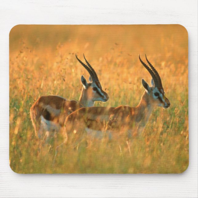 Thomson's Gazelle (Gazella Thomsonii) At Dawn Mouse Mat (Front)