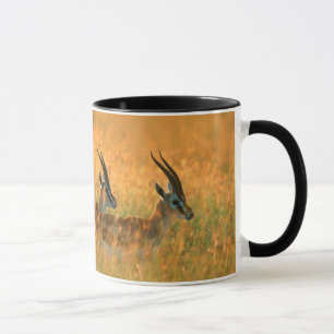 Thomson's Gazelle (Gazella Thomsonii) At Dawn Mug