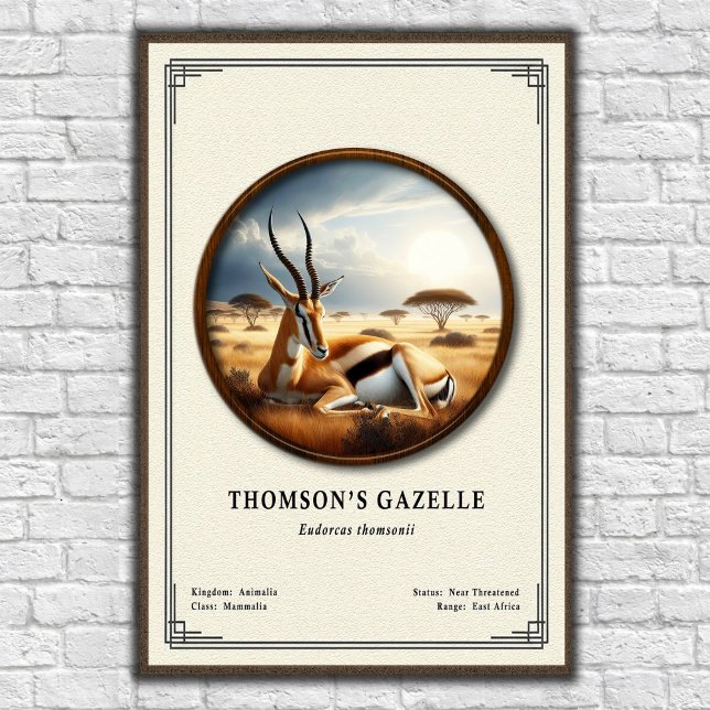 Thomson's Gazelle Zoology Series Poster (Creator Uploaded)