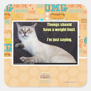 Thongs should have a weight limit. square sticker