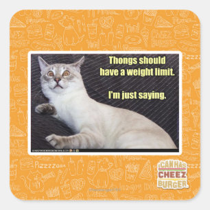 Thongs should have a weight limit. square sticker