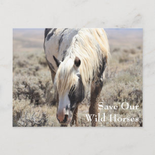 Thor McCullough Peaks Postcard