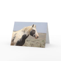 Thor of McCullough Peaks Greeting Card