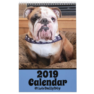Thor The Bulldog 2019 Calendar