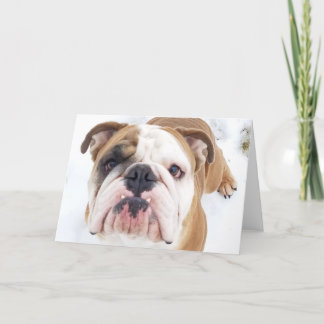 Thor The Bulldog Greeting Card