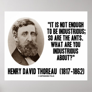 Thoreau Not Enough To Be Industrious So Are Ants Poster