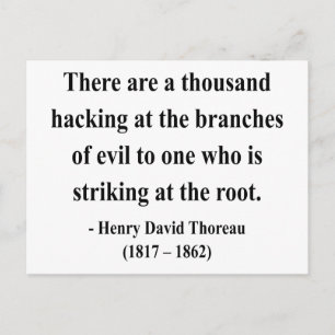 Thoreau Quote 5a Postcard