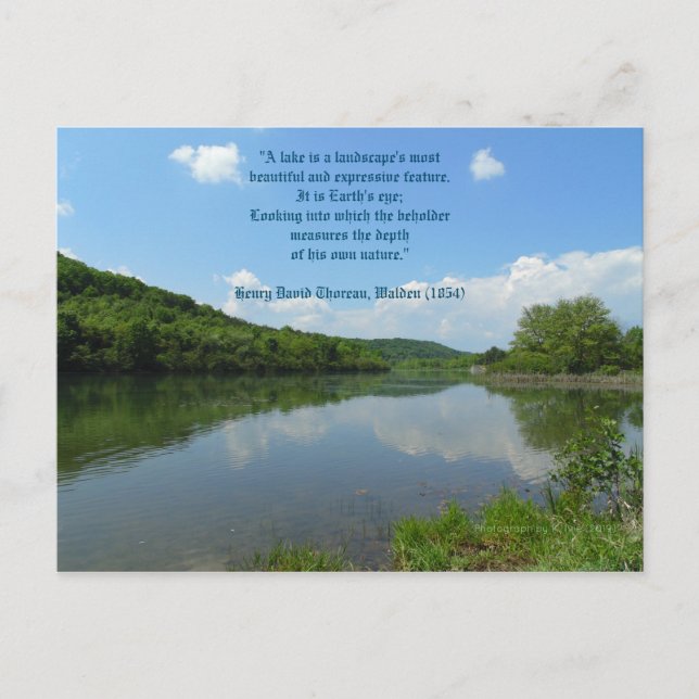 Thoreau Walden Lake Quote Postcard (Front)