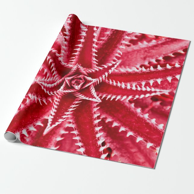 thorn cactus,  natural pattern,  abstract red back wrapping paper (Unrolled)