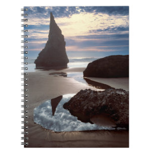 Thorn-Shaped seastack Face Rock Wayside, OR Notebook