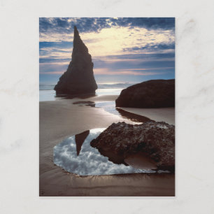 Thorn-Shaped seastack   Face Rock Wayside, OR Postcard