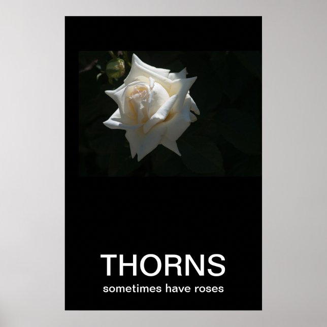Thorns Sometimes Have Roses Demotivational Poster (Front)