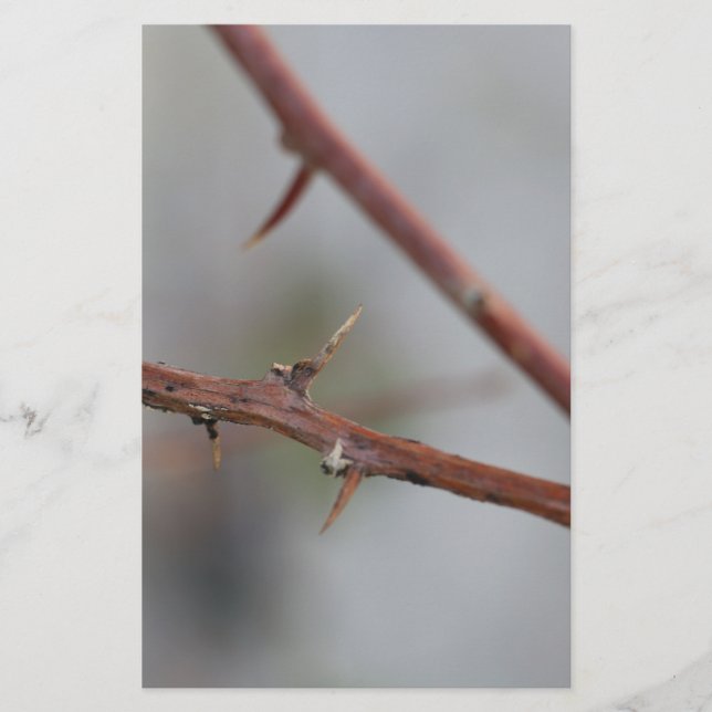 Thorns Stationery (Front)