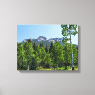 thorodin summit above woodlands at golden gate canvas print