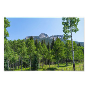 thorodin summit above woodlands at golden gate photo print