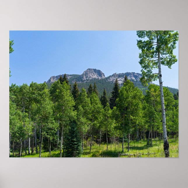 thorodin summit above woodlands at golden gate poster (Front)