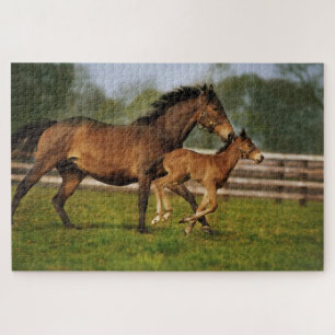 Thoroughbred Chestnut Mare & Foal Jigsaw Puzzle