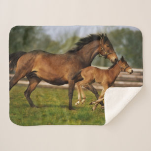 Thoroughbred Chestnut Mare & Foal Sherpa Blanket