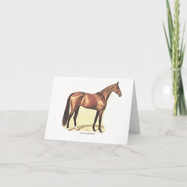 Thoroughbred Greeting Card (Front)